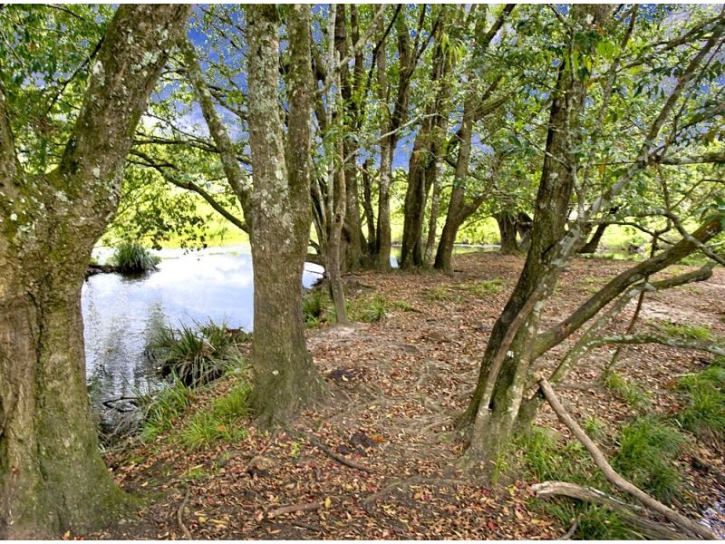 McLean Drive, Bellingen NSW 2454