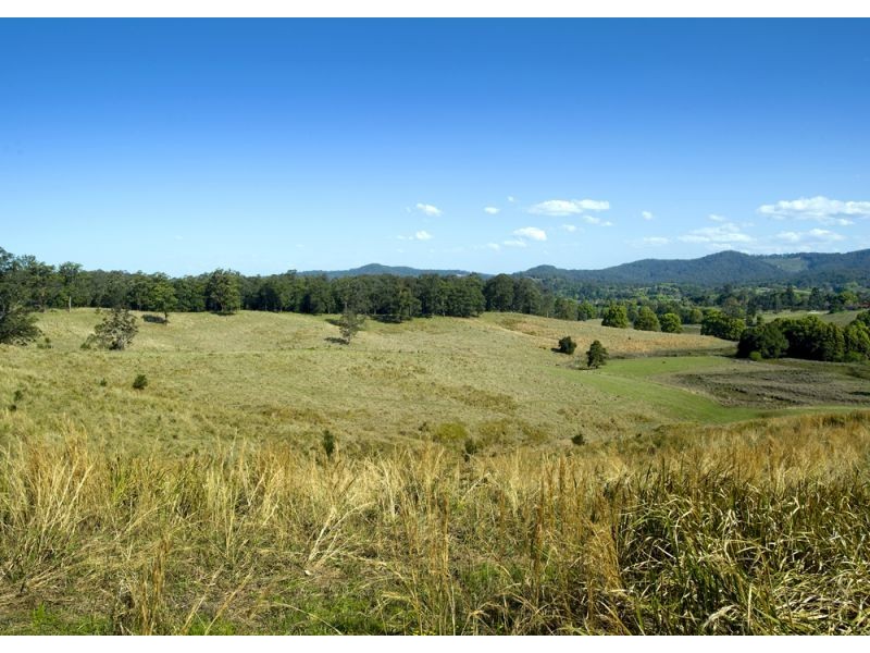 McLean Drive, Bellingen NSW 2454