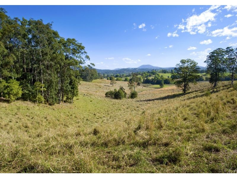 McLean Drive, Bellingen NSW 2454