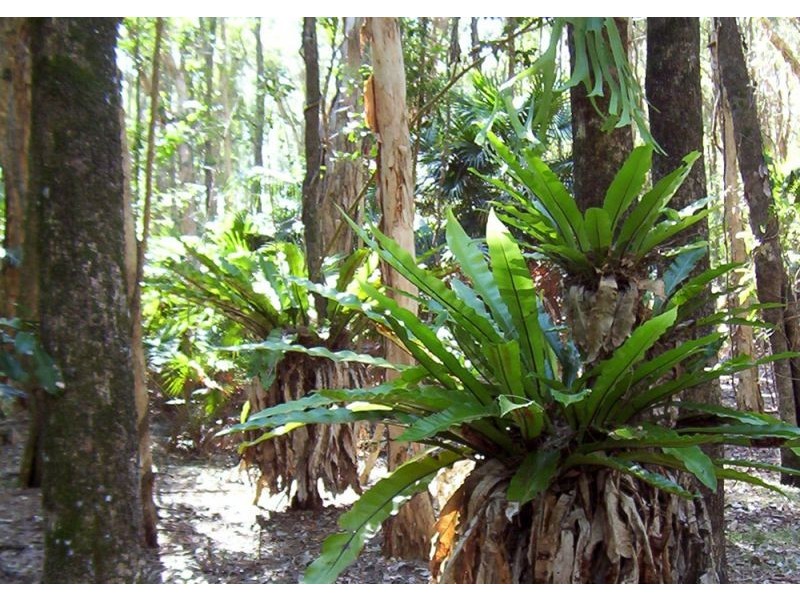 Empire Vale NSW 2478