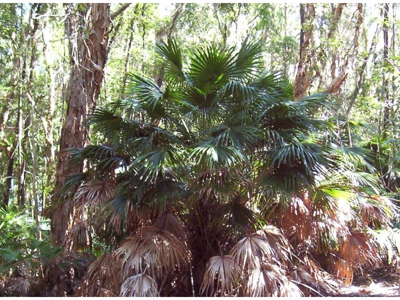 Empire Vale NSW 2478