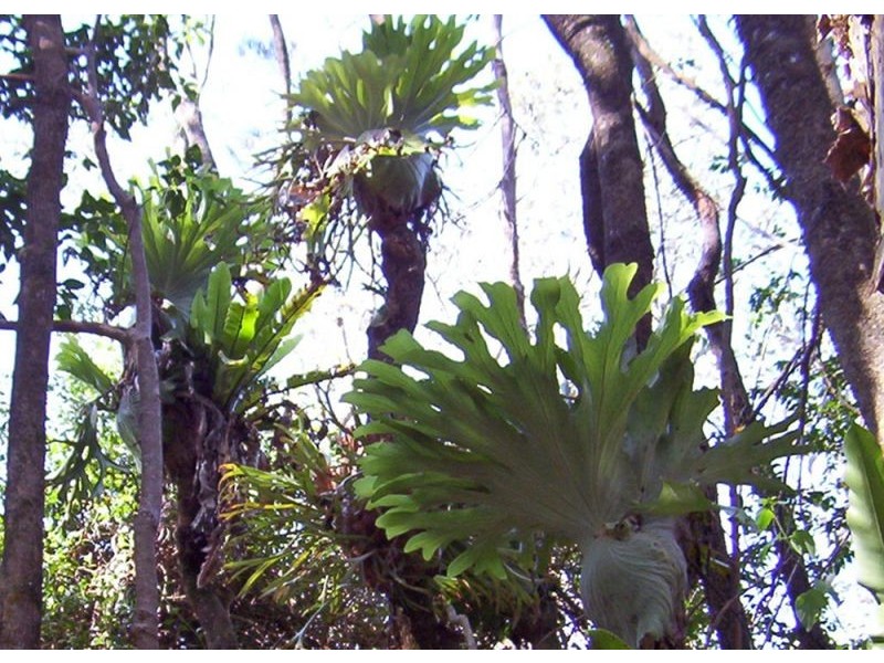 Empire Vale NSW 2478