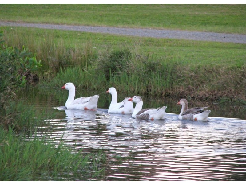 Empire Vale NSW 2478