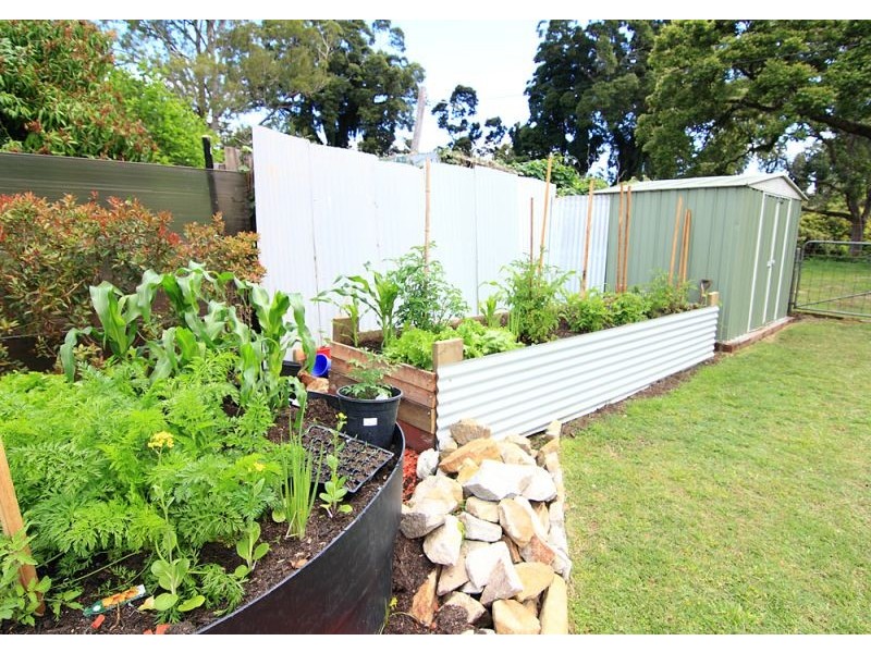 10 Hammond Street, Bellingen NSW 2454