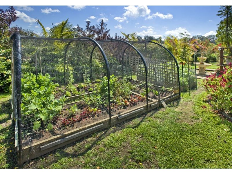 1059 North Bank Road, Bellingen NSW 2454