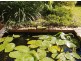 140 The Mountain Way, Coffs Harbour NSW 2450