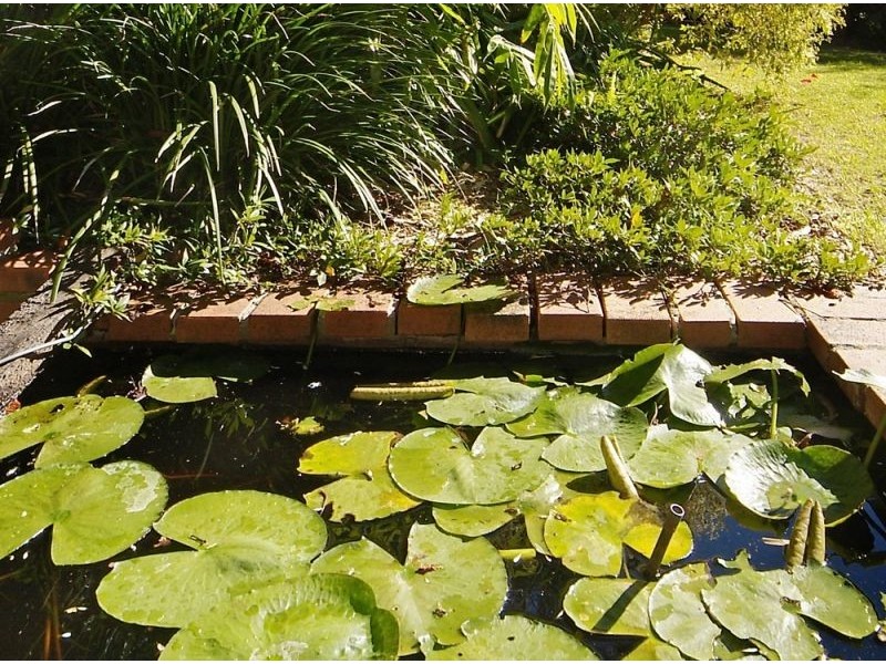 140 The Mountain Way, Coffs Harbour NSW 2450