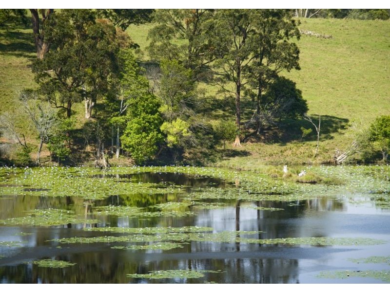 157 Florence Wilmont Drive, Nambucca Heads NSW 2448