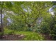 22 Tamarind Drive, Dorrigo NSW 2453