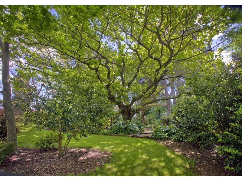 22 Tamarind Drive, Dorrigo NSW 2453