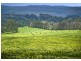 1461 Tyringham Road, Dorrigo NSW 2453
