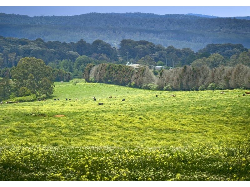 1461 Tyringham Road, Dorrigo NSW 2453