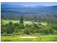 1461 Tyringham Road, Dorrigo NSW 2453