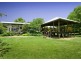 1461 Tyringham Road, Dorrigo NSW 2453