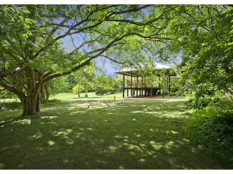1461 Tyringham Road, Dorrigo NSW 2453