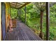 1461 Tyringham Road, Dorrigo NSW 2453