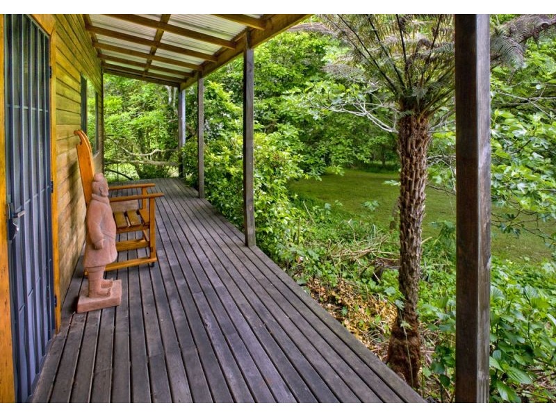 1461 Tyringham Road, Dorrigo NSW 2453