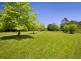 1461 Tyringham Road, Dorrigo NSW 2453