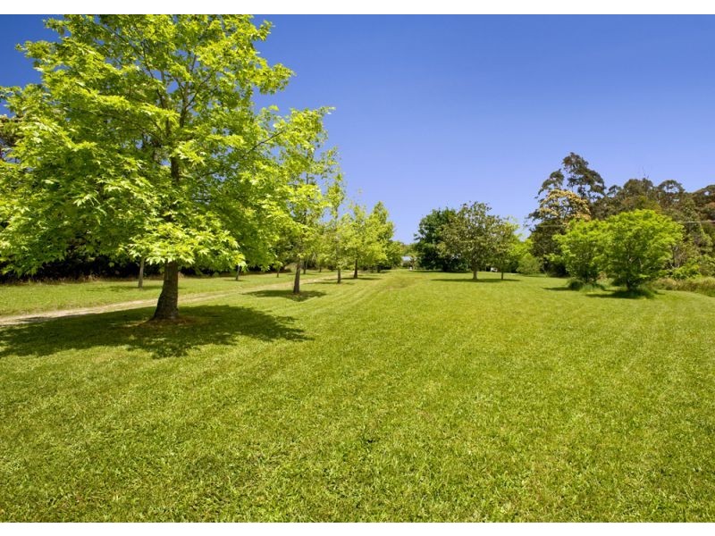 1461 Tyringham Road, Dorrigo NSW 2453