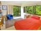 1461 Tyringham Road, Dorrigo NSW 2453