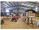 1461 Tyringham Road, Dorrigo NSW 2453
