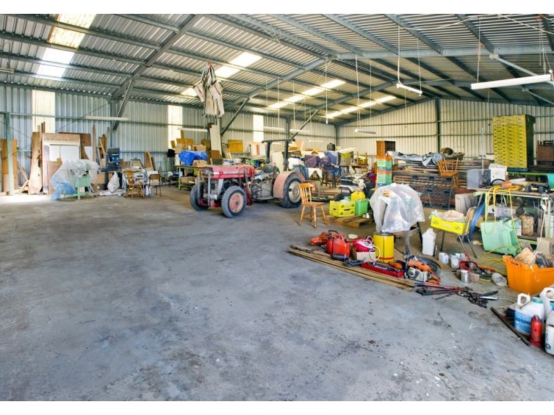 1461 Tyringham Road, Dorrigo NSW 2453
