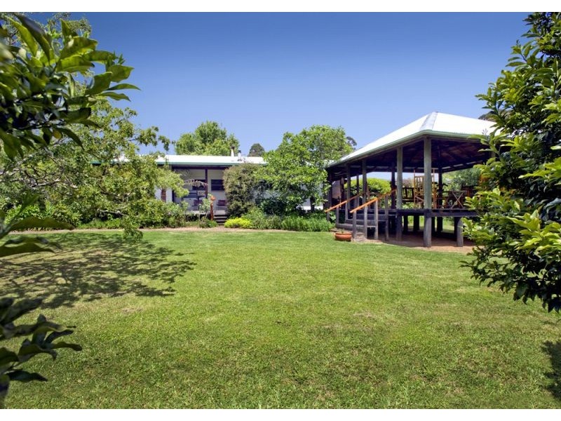 1461 Tyringham Road, Dorrigo NSW 2453