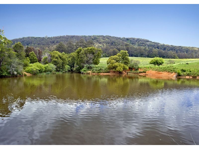 1461 Tyringham Road, Dorrigo NSW 2453