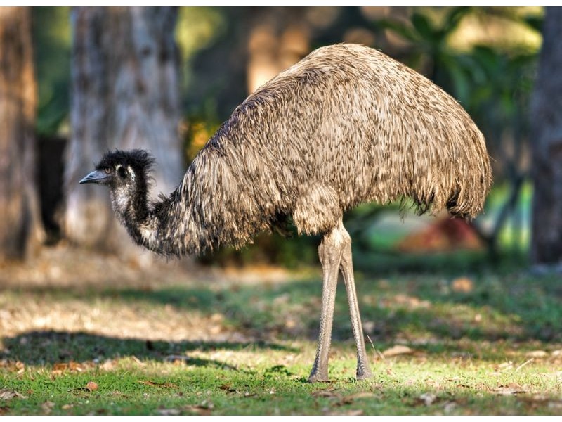 365 North Street, Wooli NSW 2462