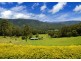 701 Darkwood Road, Thora, Bellingen NSW 2454