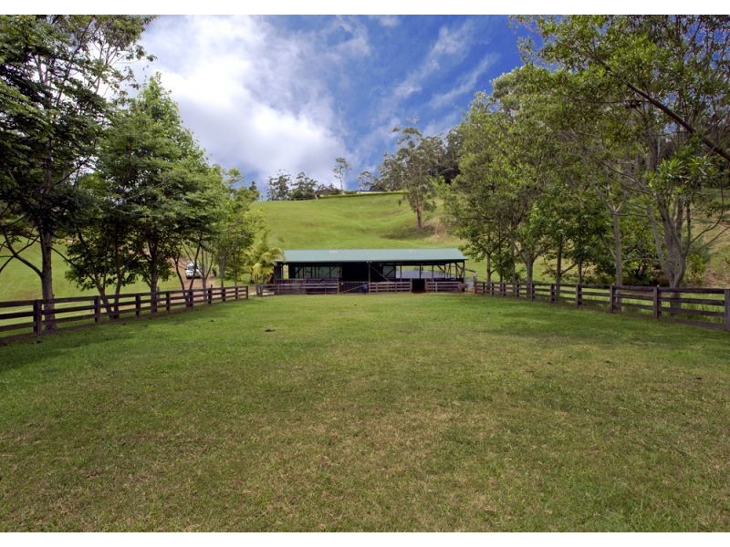 701 Darkwood Road, Thora, Bellingen NSW 2454