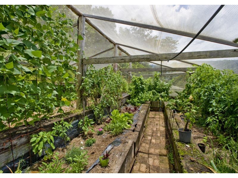 701 Darkwood Road, Thora, Bellingen NSW 2454