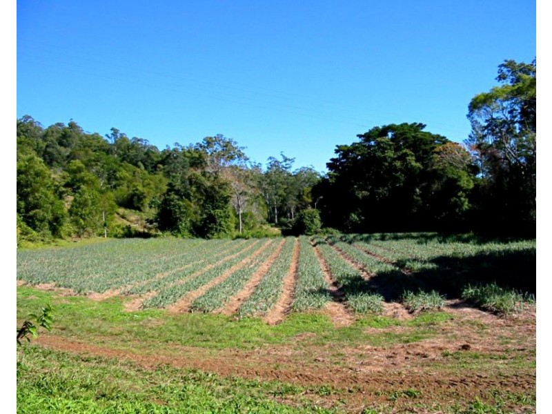 701 Darkwood Road, Thora, Bellingen NSW 2454