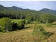 418 North Island Loop Road, Coffs Harbour NSW 2450