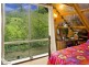 418 North Island Loop Road, Coffs Harbour NSW 2450