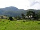 418 North Island Loop Road, Coffs Harbour NSW 2450