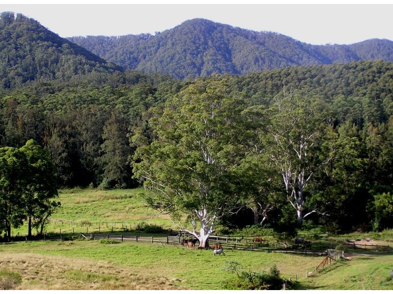 418 North Island Loop Road, Coffs Harbour NSW 2450