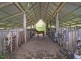 418 North Island Loop Road, Coffs Harbour NSW 2450