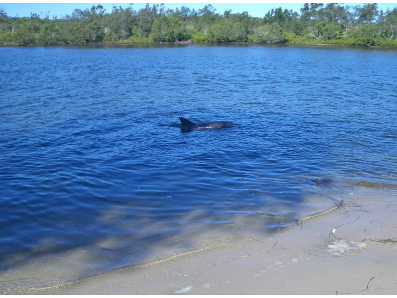 Lot 12 Boultons Crossing Road, Gumma NSW 2447