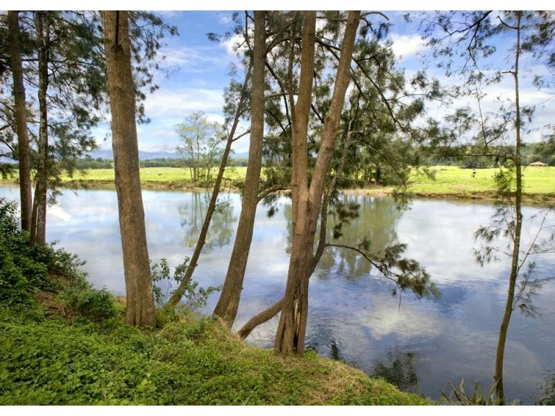 808 Waterfall Way, Bellingen NSW 2454