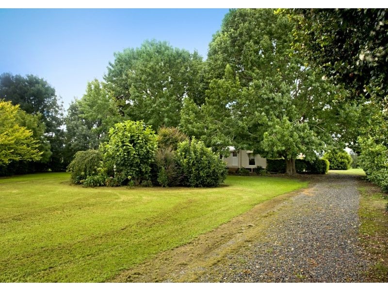 808 Waterfall Way, Bellingen NSW 2454