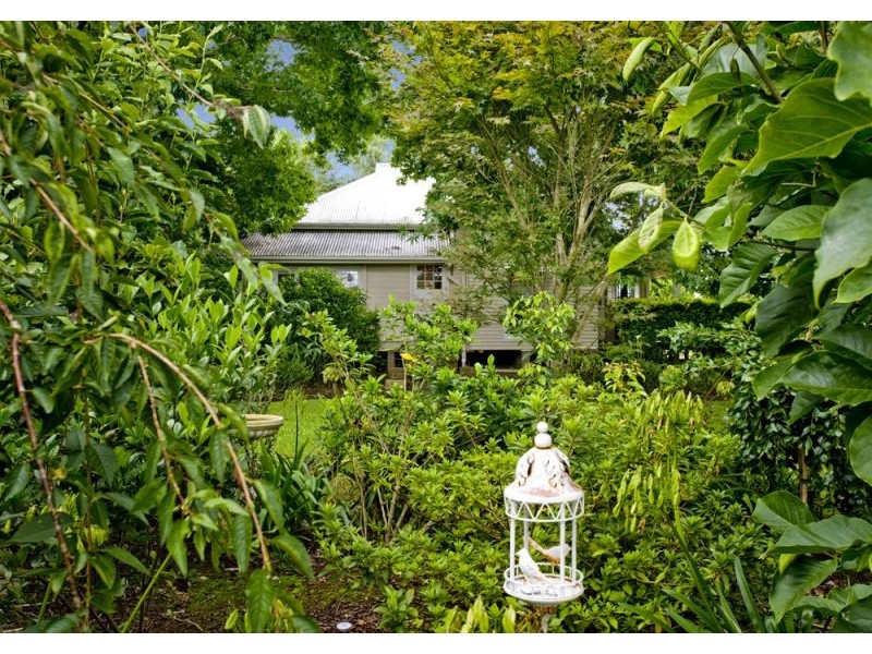 808 Waterfall Way, Bellingen NSW 2454