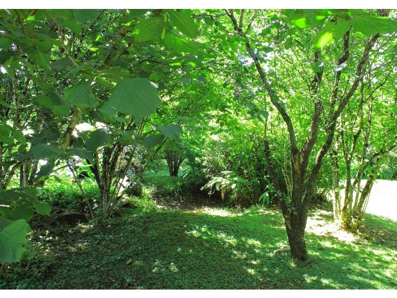 22 Mount Street, Dundurrabin, Dorrigo NSW 2453