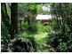 22 Mount Street, Dundurrabin, Dorrigo NSW 2453