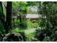22 Mount Street, Dundurrabin, Dorrigo NSW 2453