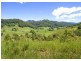 417 Fridays Creek Road, Upper Orara NSW 2450