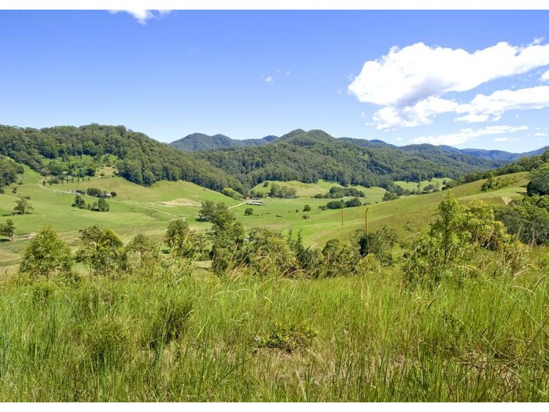 417 Fridays Creek Road, Upper Orara NSW 2450