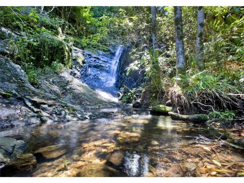 417 Fridays Creek Road, Upper Orara NSW 2450