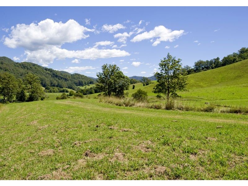 417 Fridays Creek Road, Upper Orara NSW 2450