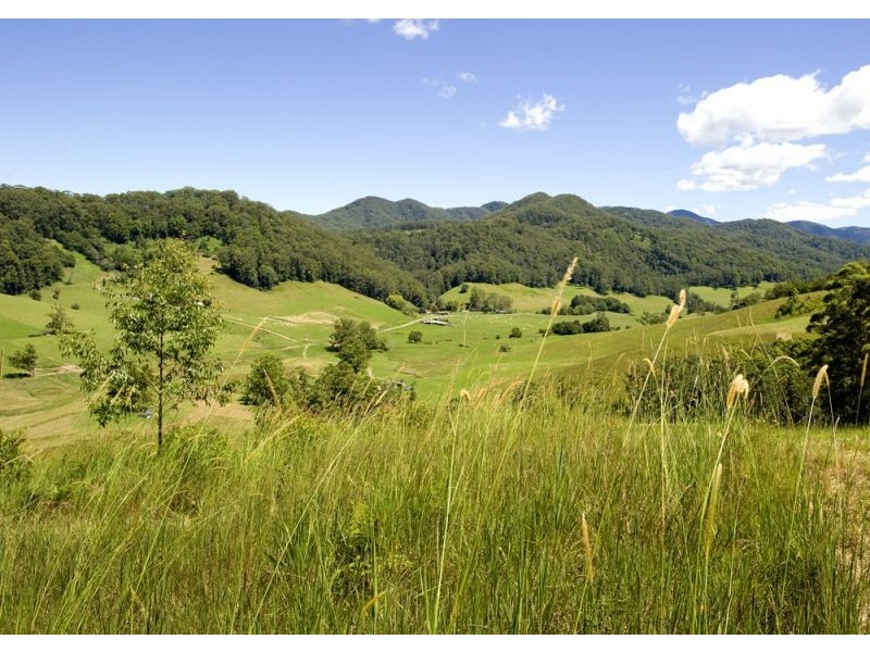 417 Fridays Creek Road, Upper Orara NSW 2450